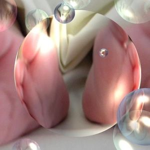 Meet your Posher, Lacy